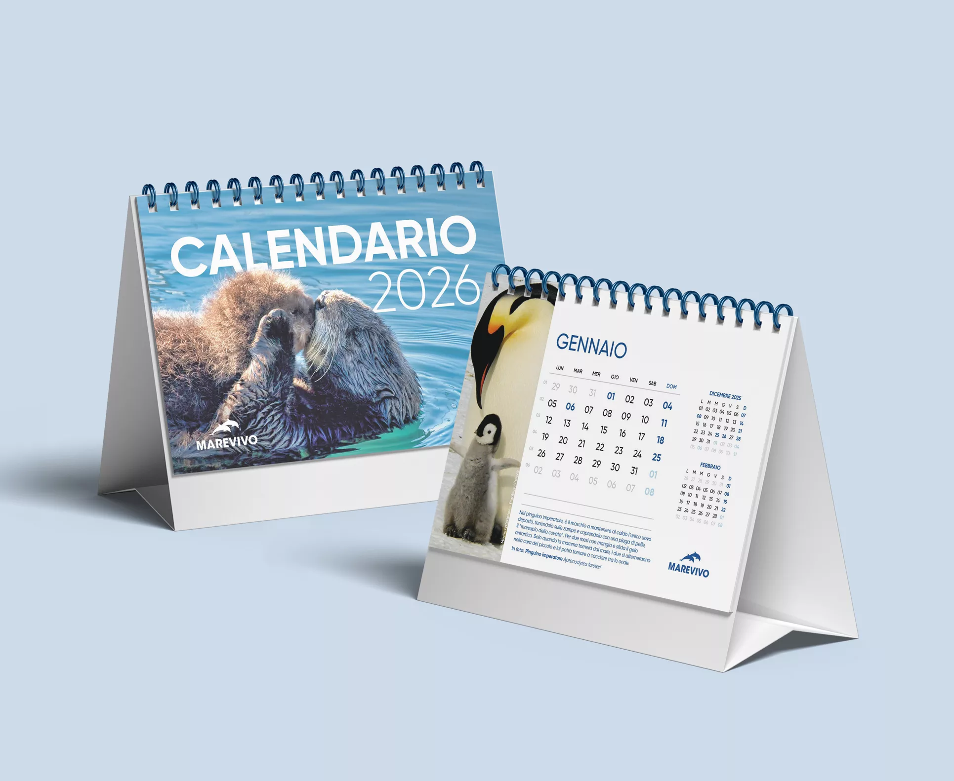 calendario3